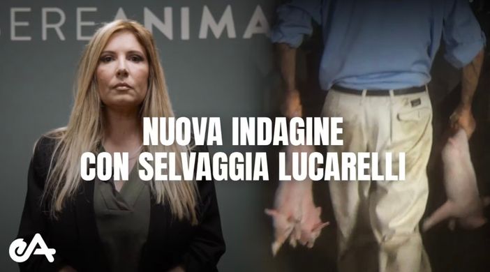 Il caso era stato ripreso dalla nota giornalista Selvaggia Lucarelli
