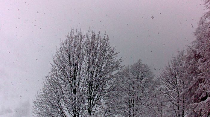 Immagine dalla webcam del Comune di Castelmagno