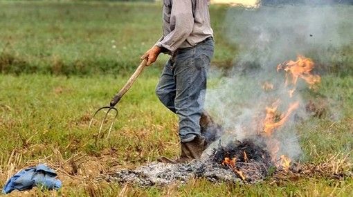 Qualità dell'aria, Coldiretti: consentire deroghe all'abbruciamento