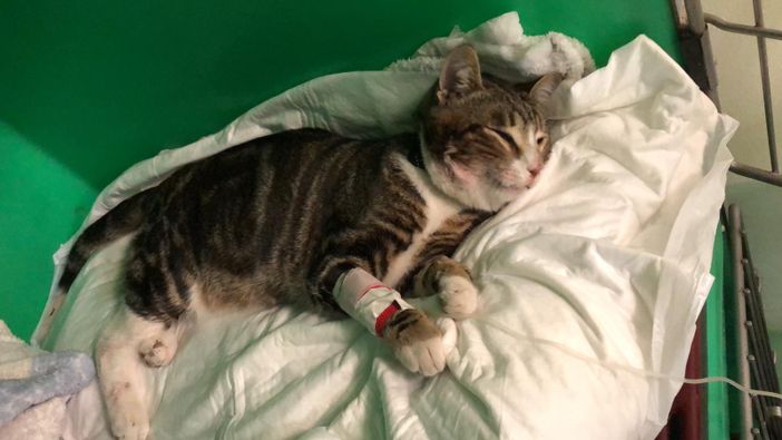 "È accettabile che un servizio pubblico non disponga degli strumenti minimi per un soccorso di emergenza?", si chiede il letto (immagine d'archivio)