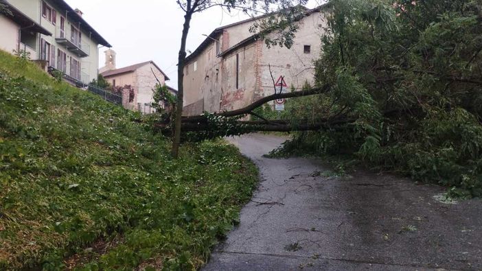 MALTEMPO / Forti raffiche di vento, alberi caduti e grandine dal Saluzzese al Braidese MALTEMPO / Forti raffiche di vento, alberi caduti e grandine dal Saluzzese al Braidese