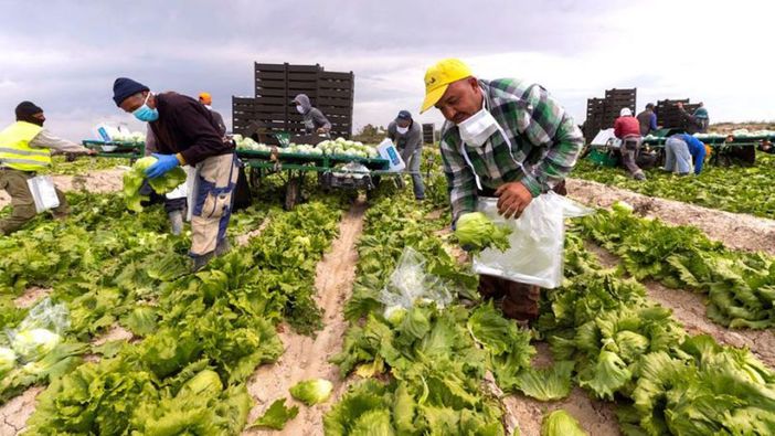 In Piemonte previste 80mila assunzioni di lavori stranieri: trainano costruzioni, agricoltura e servizi In Piemonte previste 80mila assunzioni di lavori stranieri: trainano costruzioni, agricoltura e servizi