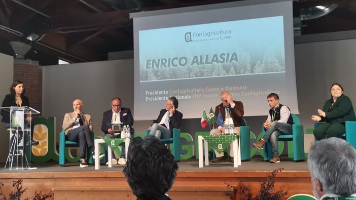 Filiera del legno, oggi il convegno a Frabosa Sottana
