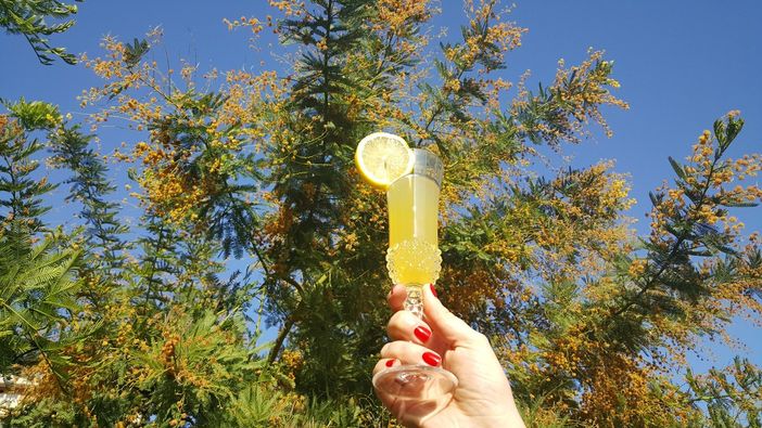 Giornata Internazionale della Donna, il suo significato e la sua importante storia