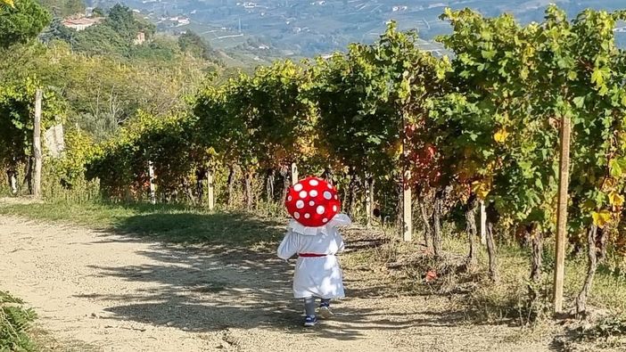 Una passeggiata guidata notturna lungo la Gnomovia di Mango Una passeggiata guidata notturna lungo la Gnomovia di Mango