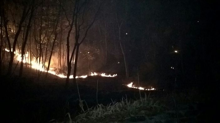 Immagine di repertorio