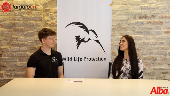 7 Minuti con Flavia Monteleone: l'ospite della nuova puntata è Stefano Alessandria Presidente dell'Associazione Wild Life Protection 7 Minuti con Flavia Monteleone: l'ospite della nuova puntata è Stefano Alessandria Presidente dell'Associazione Wild Life Protection