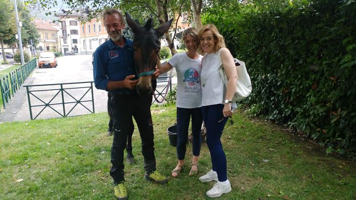 Degiovanni insieme alla mula Pioggia: a giorni l'ascesa alla 18ª vetta del suo singolare percorso