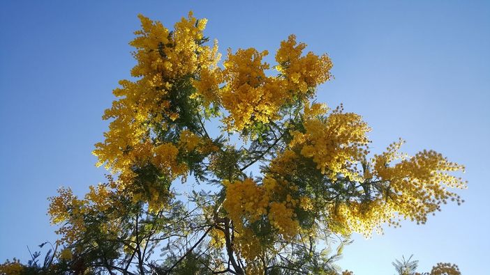 Alba: “Non solo marzo”, proseguono gli eventi albesi per la Festa della Donna