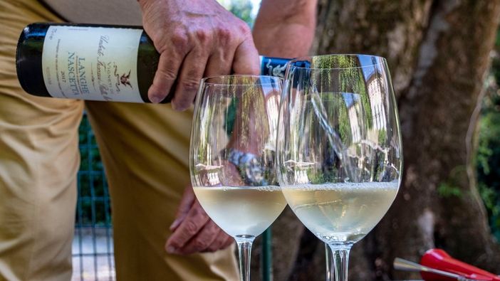 «Nascetta Day» ritorna e si fa in tre:  ad Alba, Bra e La Morra si festeggia il bianco autoctono delle Langhe