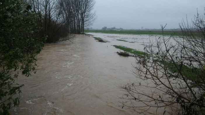 La pioggia regala una boccata d'ossigeno all'agricoltura in Granda. Ma il quadro complessivo resta drammatico