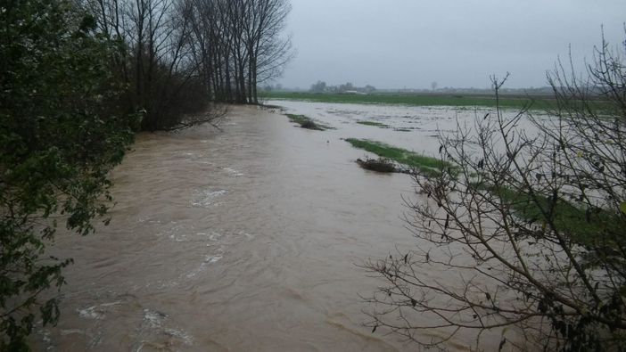 Immagine di repertorio