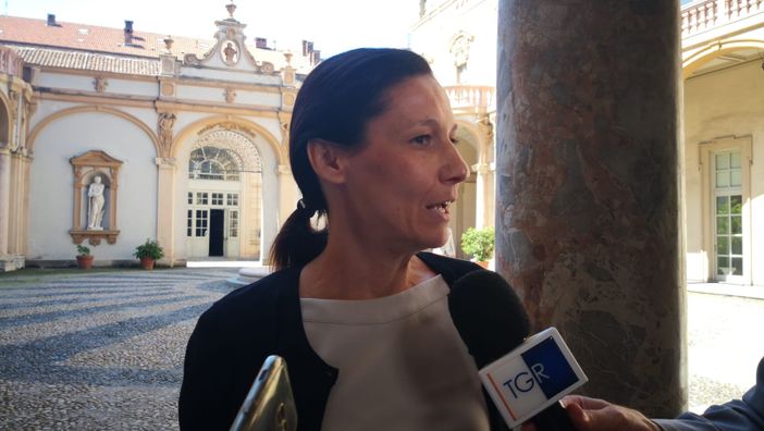 Affidi illeciti, Caucino: "Regione Piemonte lavora su legge "allontanamento zero""