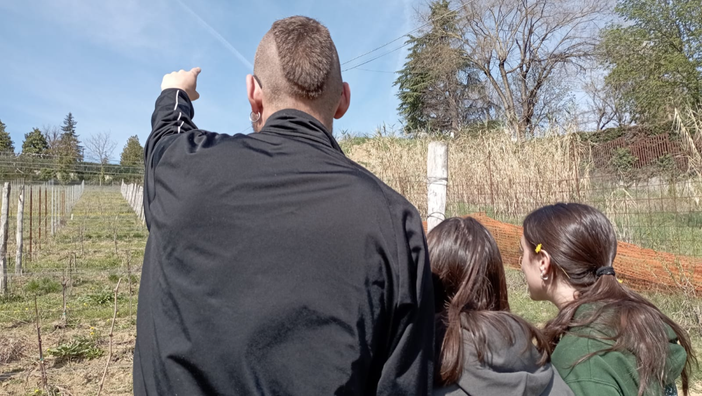 Giovani fragili al lavoro in vigna: Vineyard approda al congresso europeo di Psichiatria a Parigi