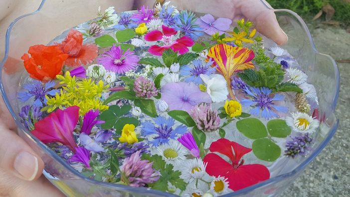 Acqua di san Giovanni preparata con erbe e fiori