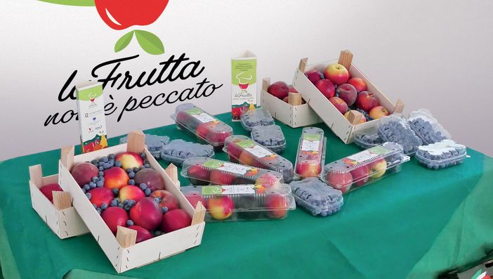 Dopo il lancio di fine luglio il progetto "La Frutta non è peccato" entra nel vivo