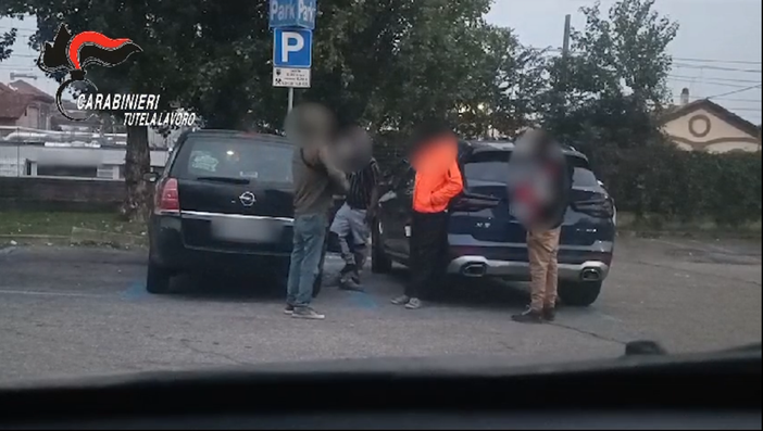 I controlli nelle vigne