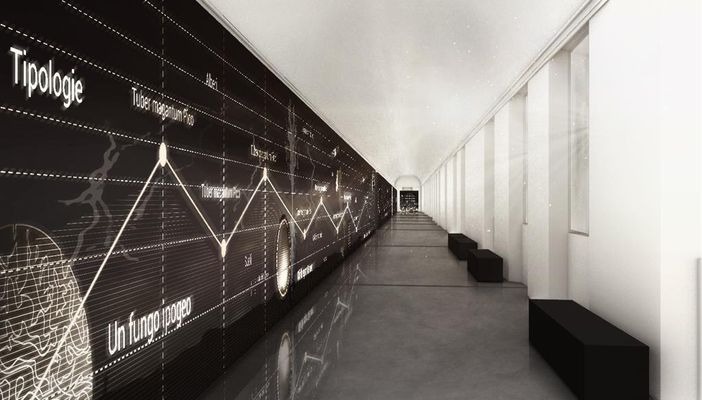 Museo del tartufo ad Alba: presto si saprà il nome del gestore di caffetteria, bookshop e biglietteria