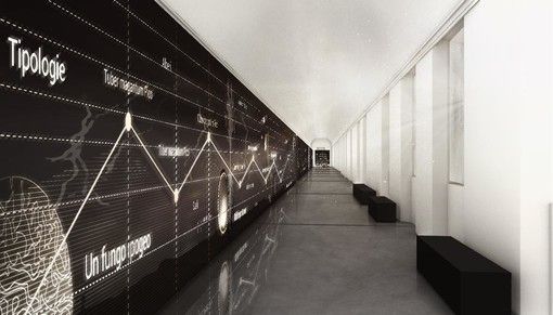 Alba inaugura il suo museo del tartufo.  Per il Mudet porte aperte da sabato 14 ottobre