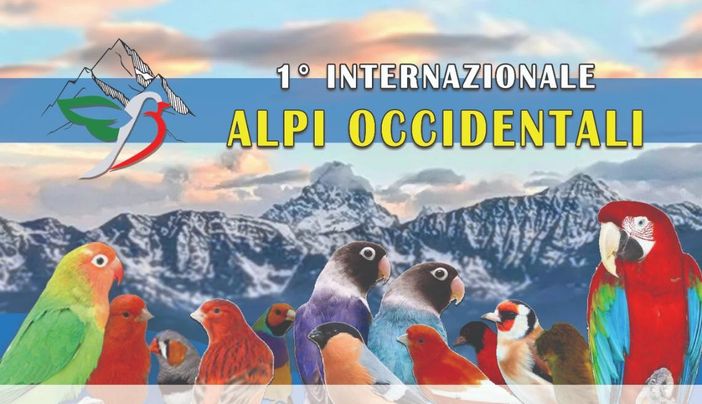 In autunno a Farigliano la Prima Mostra Ornitologica Internazionale In autunno a Farigliano la Prima Mostra Ornitologica Internazionale