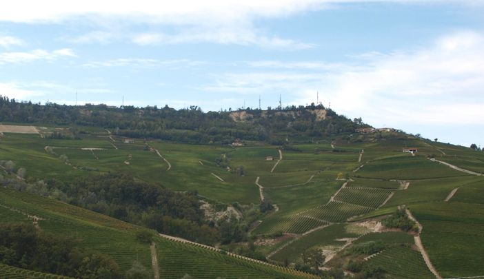 Cia Cuneo: “Il bando per i locali di degustazione e vendita dei vini è una grande opportunità”