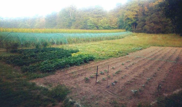 Enrico, Morena e Luca con il pane e i grissini dal sapore straordinario