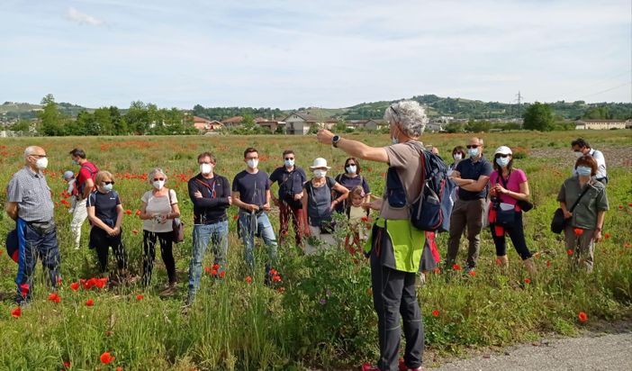 Alba: boom di presenze alle proposte di turismo outdoor Alba: boom di presenze alle proposte di turismo outdoor