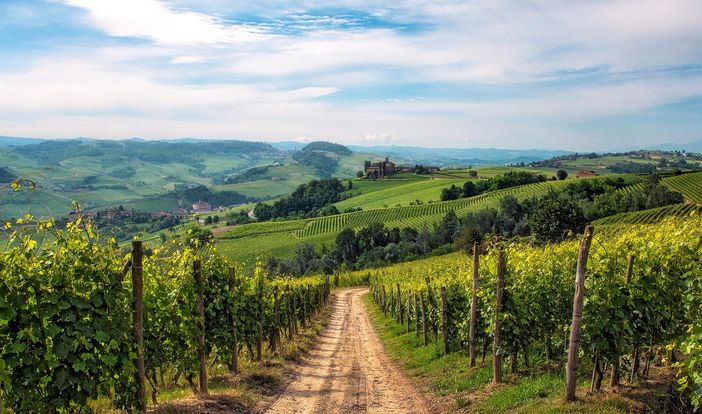 Importantissima acquisizione nel mondo del vino: tre ettari a Barolo nel Cru Perno per Marchesi di Barolo