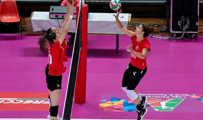 (credit Danilo Ninotto)