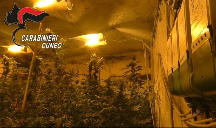 Ieri gli arresti disposti dal Giudice per le Indagini Preliminari presso il Tribunale di Asti Ieri gli arresti disposti dal Giudice per le Indagini Preliminari presso il Tribunale di Asti