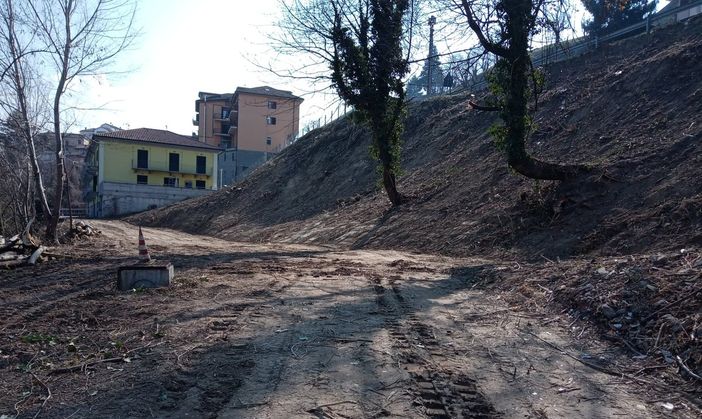 I lavori di pulizia al terreno privato dato in comodato d'uso gratuito al Comune di Diano d'Alba: esempio di sinergia pubblico/privato I lavori di pulizia al terreno privato dato in comodato d'uso gratuito al Comune di Diano d'Alba: esempio di sinergia pubblico/privato