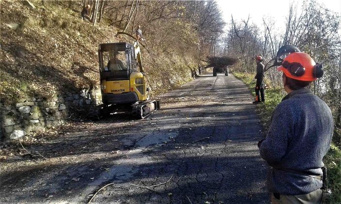 Immagine di repertorio Immagine di repertorio