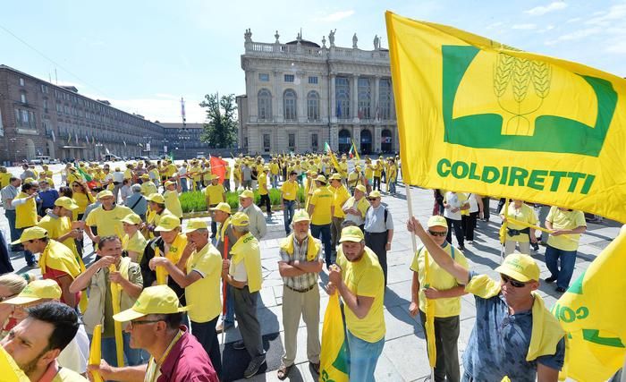 Etichettatura d'origine obbligatoria estesa al 2024, Coldiretti: "Salvo il Made in Italy"