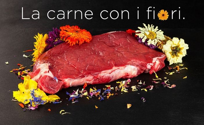 Agrinorcineria Piemontese apre ad Alba: la carne con i fiori arriva nella capitale delle Langhe Agrinorcineria Piemontese apre ad Alba: la carne con i fiori arriva nella capitale delle Langhe