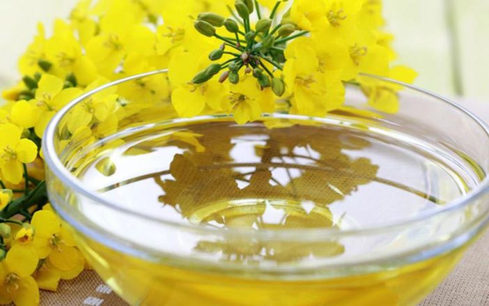 Olio di colza e di canola, cosa dobbiamo sapere Olio di colza e di canola, cosa dobbiamo sapere