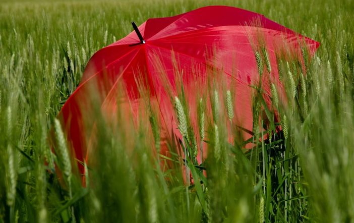 In Piemonte l'estate meteorologica inizia con l'allerta gialla per temporali In Piemonte l'estate meteorologica inizia con l'allerta gialla per temporali