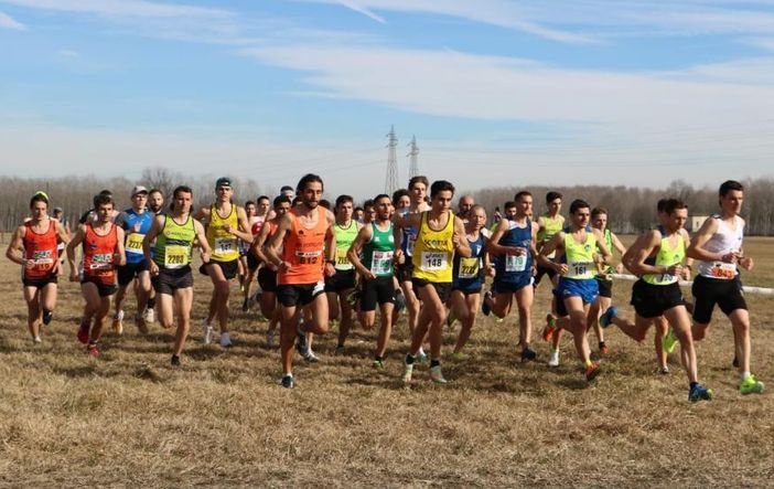 (la partenza del cross lungo maschile, prova di volpiano) foto GAV/Bizioli - sito fidal piemonte (la partenza del cross lungo maschile, prova di volpiano) foto GAV/Bizioli - sito fidal piemonte
