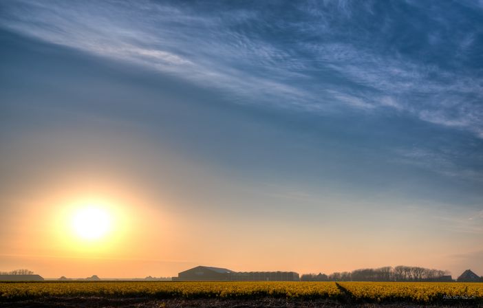 IL TEMPO CHE FARÀ / Canicola e afa per buona parte della settimana, miglioramenti attesi nel weekend