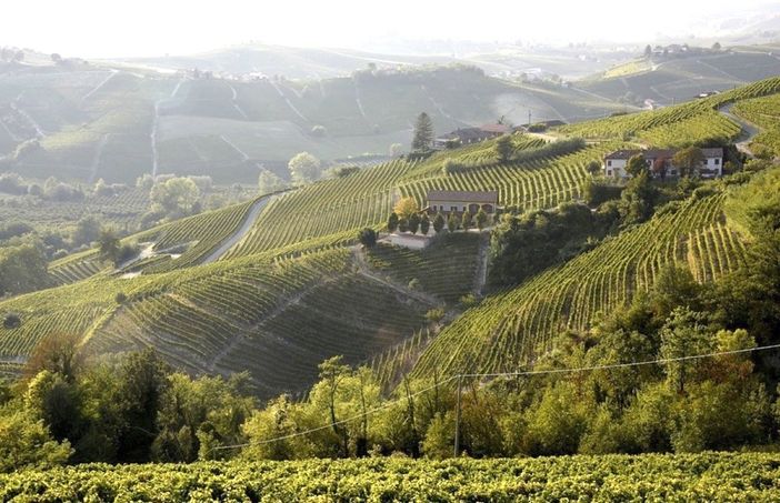 Le colline del Moscato (Ph. Consorzio dell'Asti)