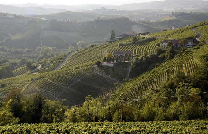Le colline del Moscato (Ph. Consorzio dell'Asti)