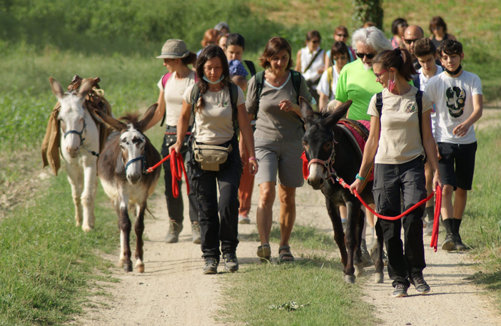 Da Bossolasco a Pietra Ligure a passo d'asino: al via la terza edizione dell'originale camminata Da Bossolasco a Pietra Ligure a passo d'asino: al via la terza edizione dell'originale camminata