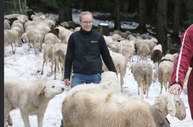 Il sindaco di Valdieri: "Sara è stata emblema della nuova generazione che ama e vive le nostre montagne" Il sindaco di Valdieri: "Sara è stata emblema della nuova generazione che ama e vive le nostre montagne"