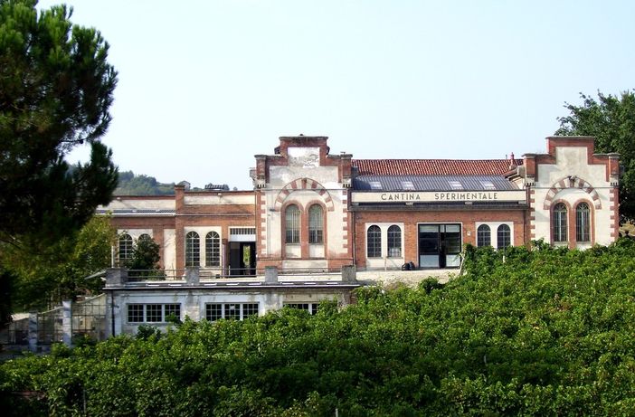 Ex allievi della Scuola Enologica di Alba: festa del tesseramento e assemblea annuale dei soci