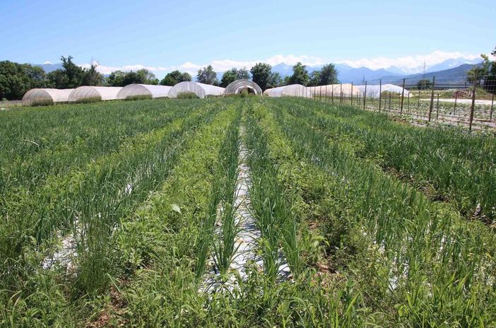 La Cia organizza cinque incontri per spiegare la nuova Pac