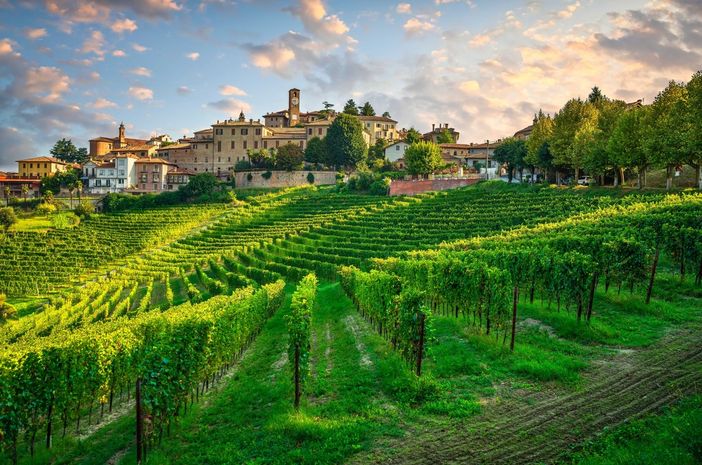 Una suggestiva veduta di Neive Una suggestiva veduta di Neive