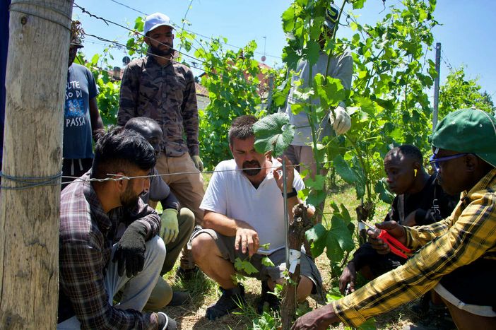 Accademia della Vigna 2026: aperte le nuove adesioni per il sistema produttivo vitivinicolo di Langhe e Roero