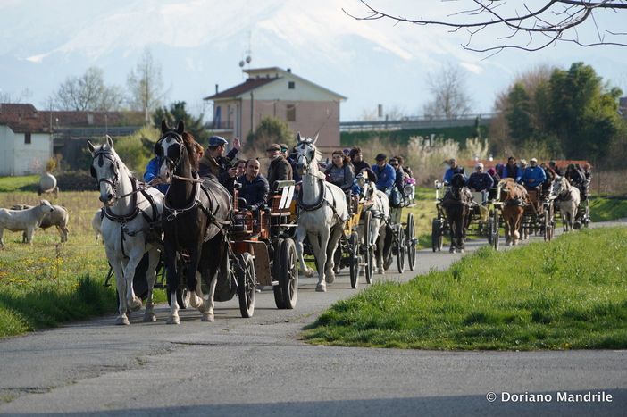 Paradriving, in carrozza da Cuneo a Torino: torna la staffetta dell'inclusione con cavalli e comunità