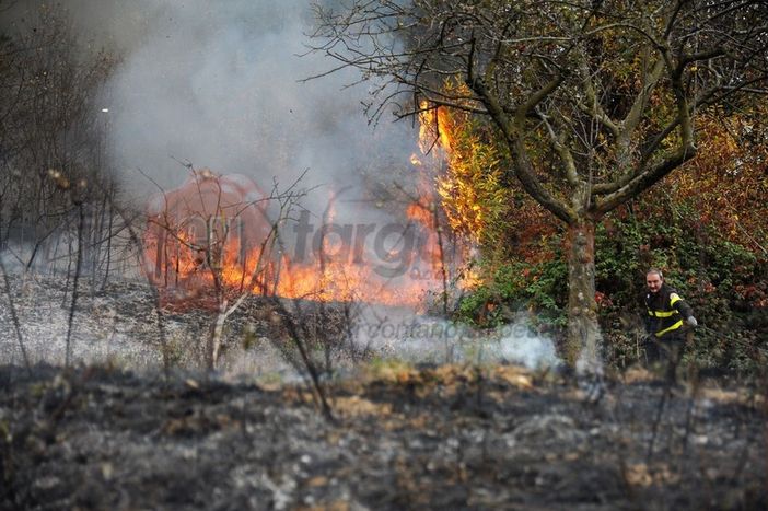 Immagine di repertorio