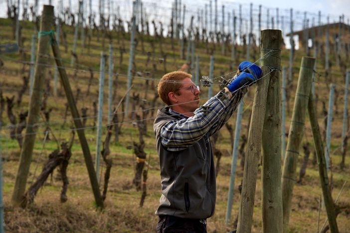 Matteo Di Stadio, 38 anni, lavoratore e studente all'Accademia della Vigna