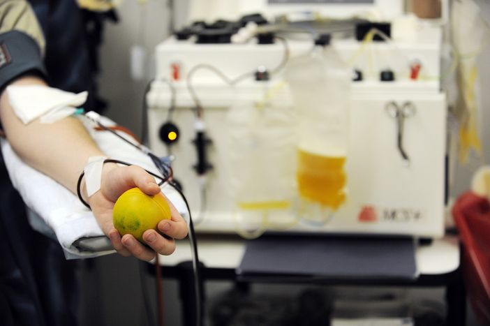 Immagine di repertorio